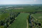 20090702_153818 Campo di mais.jpg